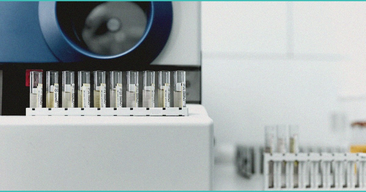 gr n launches cannabis infused chocolate pips in n