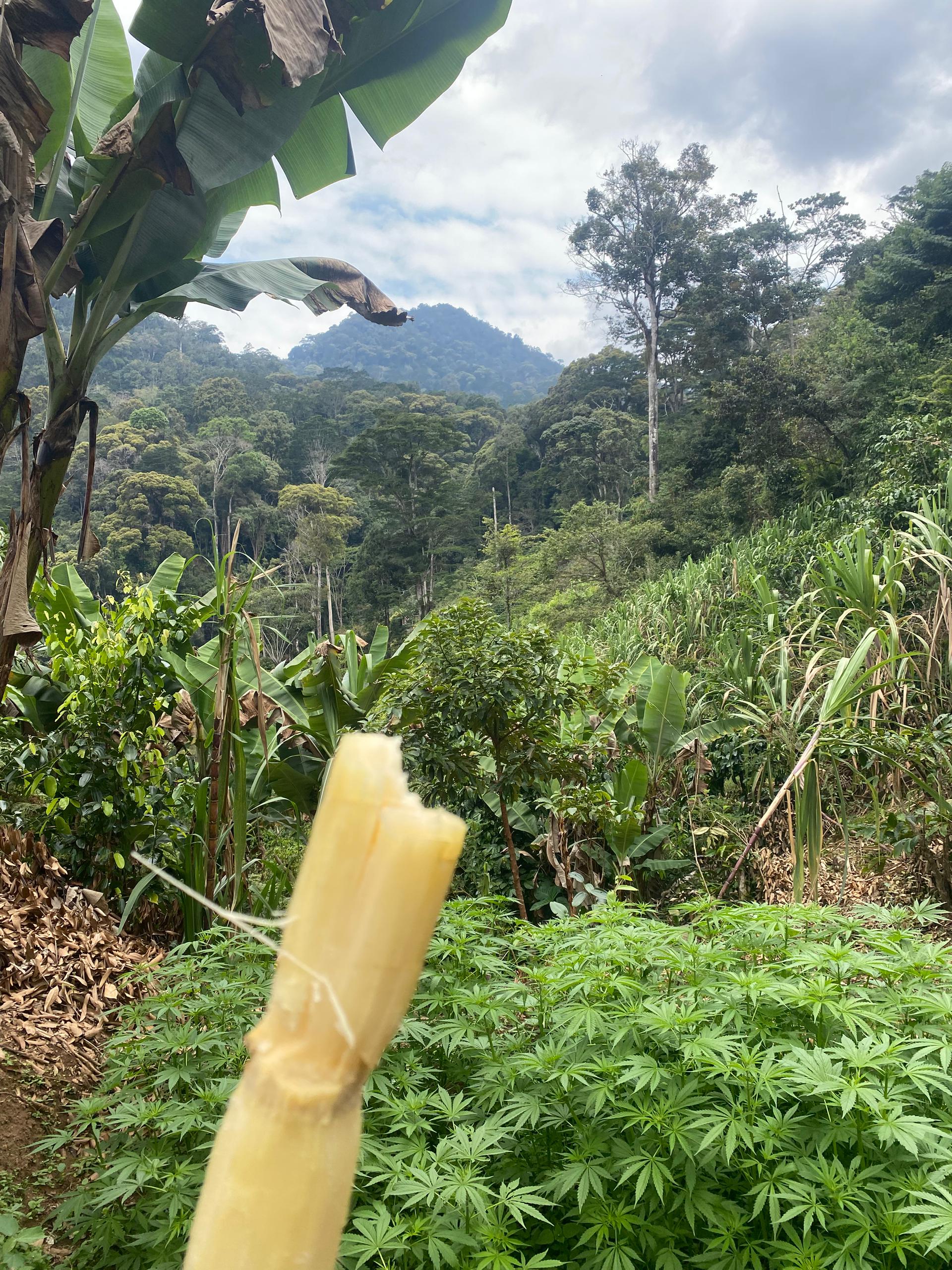 Hello from East Africa