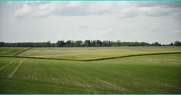 Hemp vs weed? NJ adjusts THC rules just before 4/20. What to know