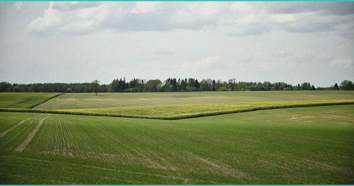 hemp vs weed nj adjusts thc rules just before 4 2