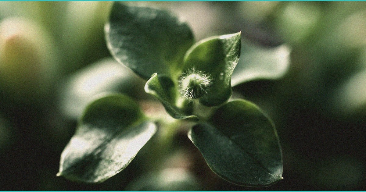 here s why tenet healthcare thc is a strong valu