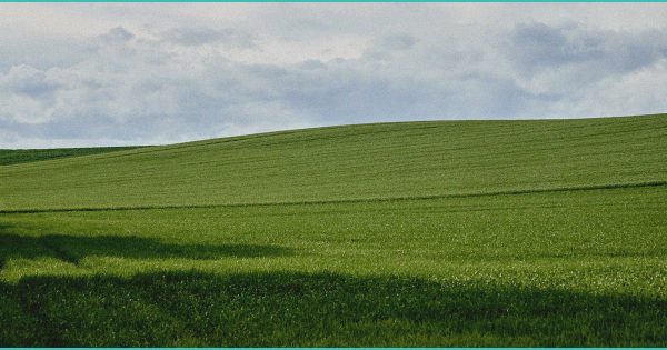 Houstonians say Texas is getting hemp regulation wrong | Opinion – Houston Chronicle