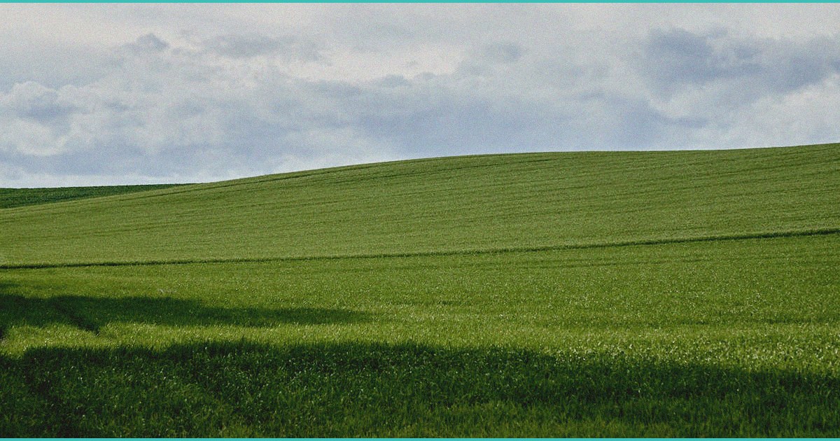 houstonians say texas is getting hemp regulation w