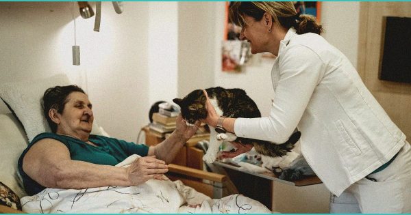 How to Start a Cannabis Business: A Complete Guide