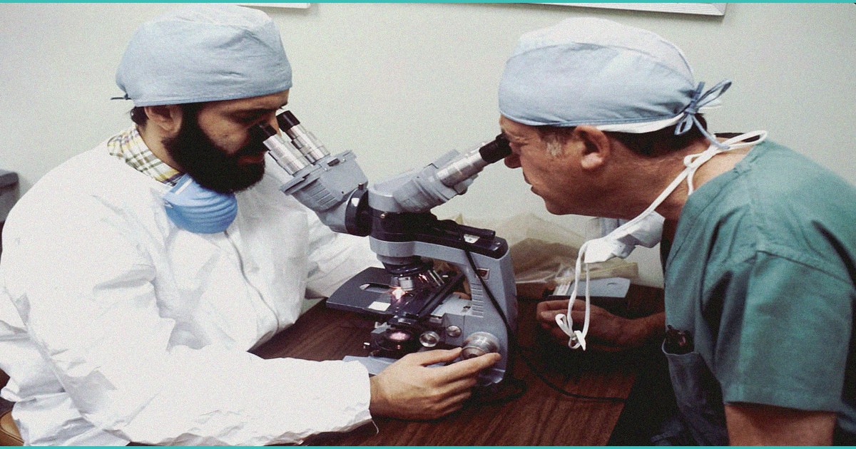 hundreds of b marijuana b plants seized from sw