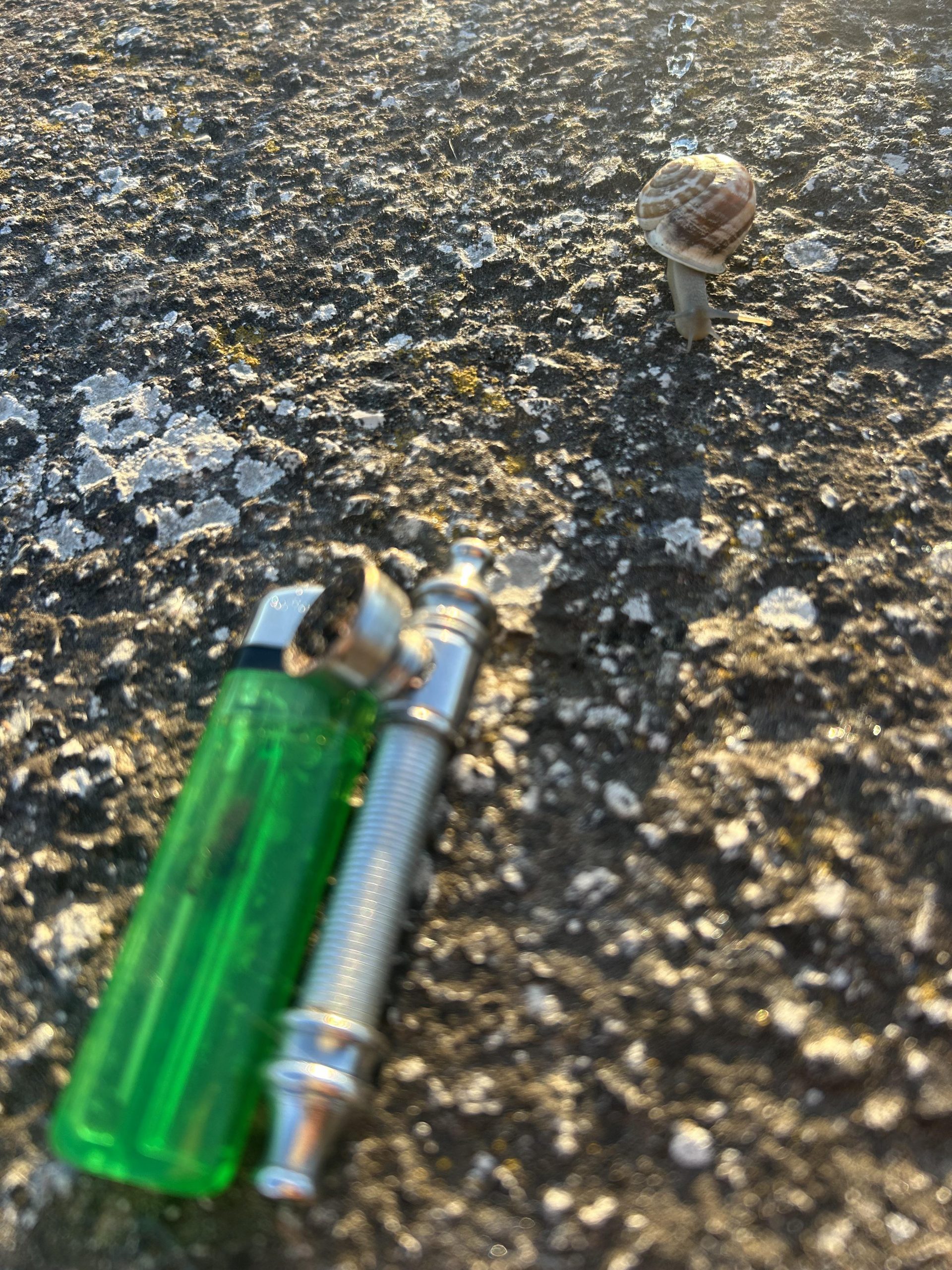 I was out smoking a morning bowl, and the son of a bitch almost got me