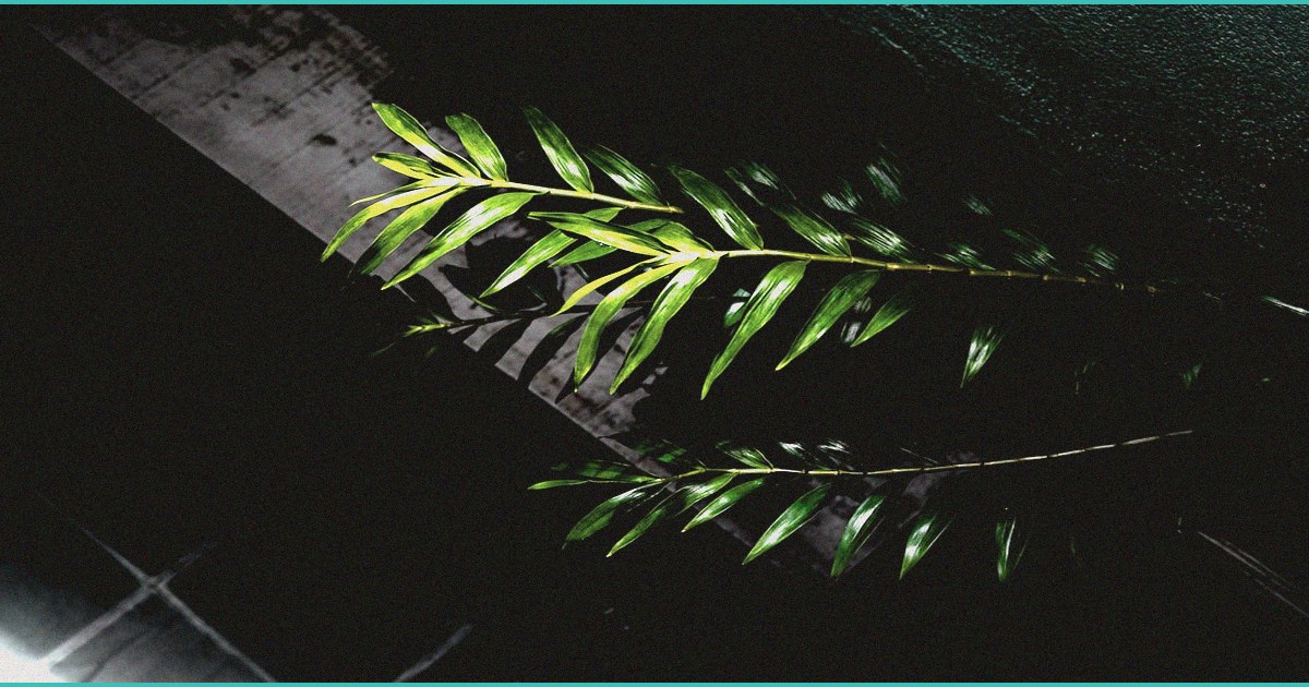 indiana bill to ben hemp b thc b products dies