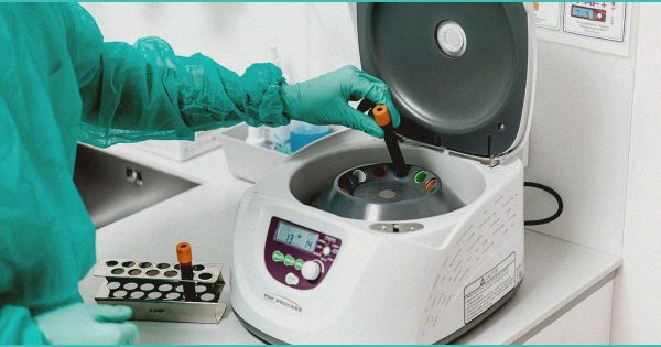 israeli researchers find b cannabis b compounds 1