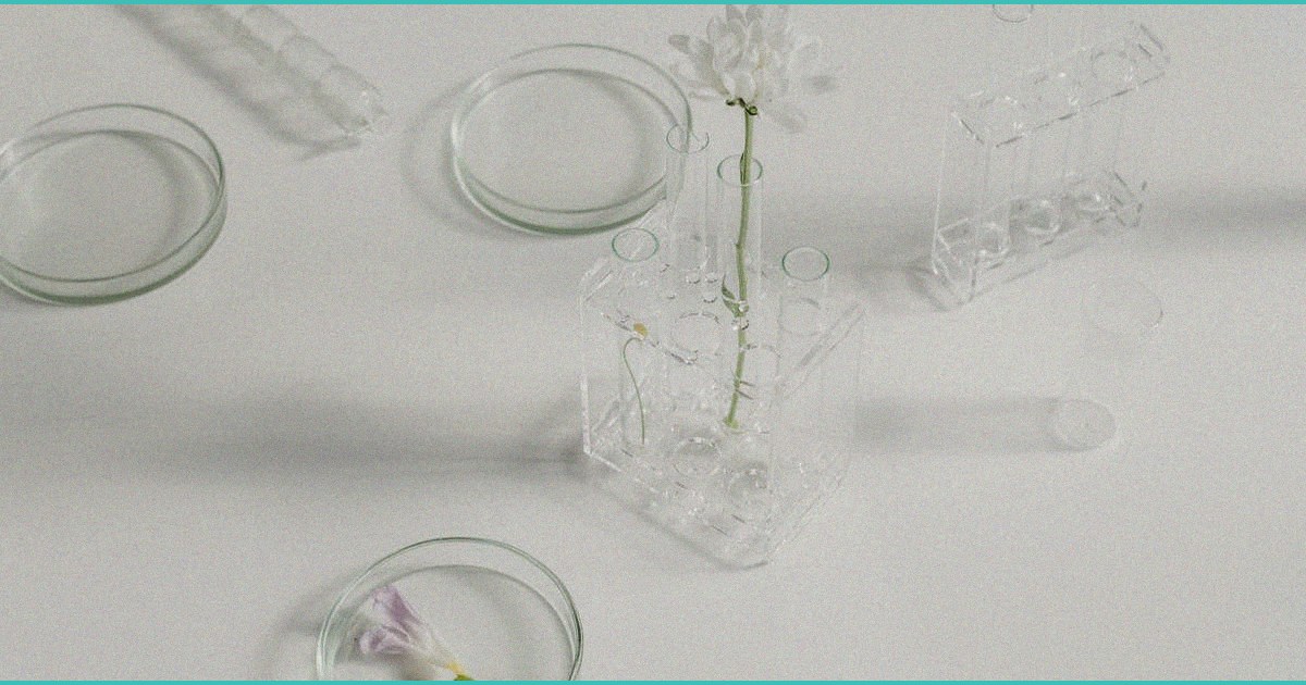 israeli researchers find b cannabis b compounds