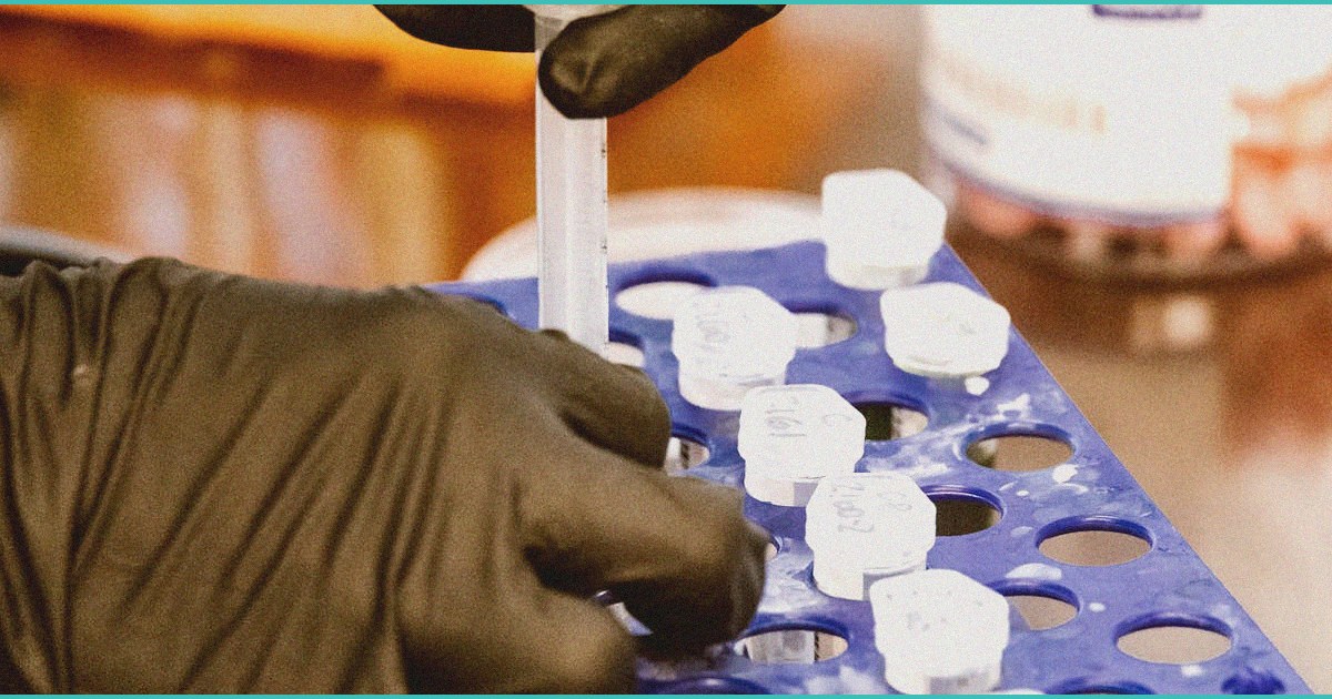 johns hopkins study finds cannabis use may pose gr