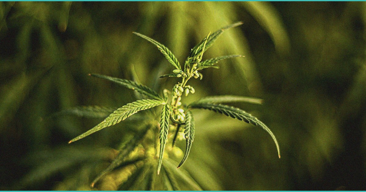 missouri lawmakers send bill banning