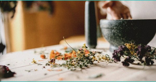 MMJ International Holdings Seeks Injunction to Halt CMS CBD Program | Newswire