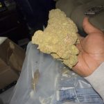 My flower from Lakeland hemp is so sticky it turned into a brick after vacuum sealing ?