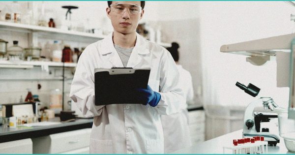 New Bedford officials voice sobriety concerns with cannabis lounges