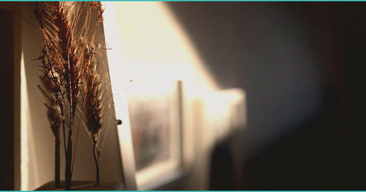 new group launches ahead of medicare cbd pilots