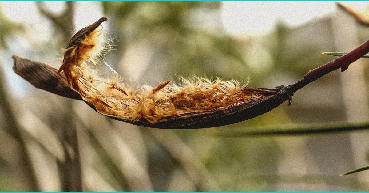 new state law could hamstring ohio s struggling he