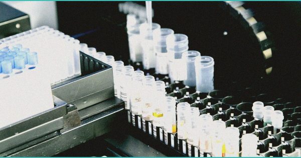 CED Clinic: Personalized Cannabis Medicine 268 ‘Not your parents’ cannabis:’ Legalization lights up innovation—but not clinical research