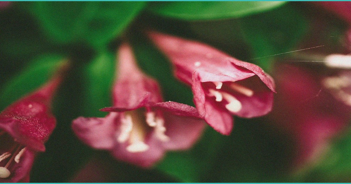 ohio department of commerce recalls certain b mar