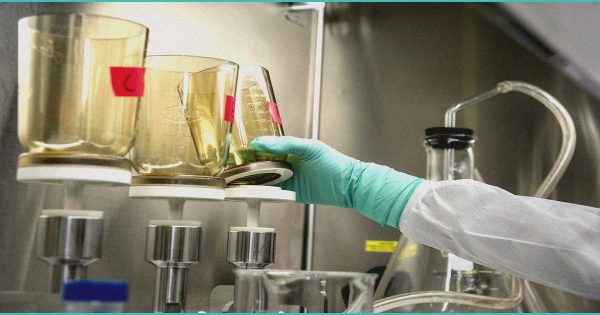 Pain Management Older Adult Caregiver Perception – Pain Medicine News