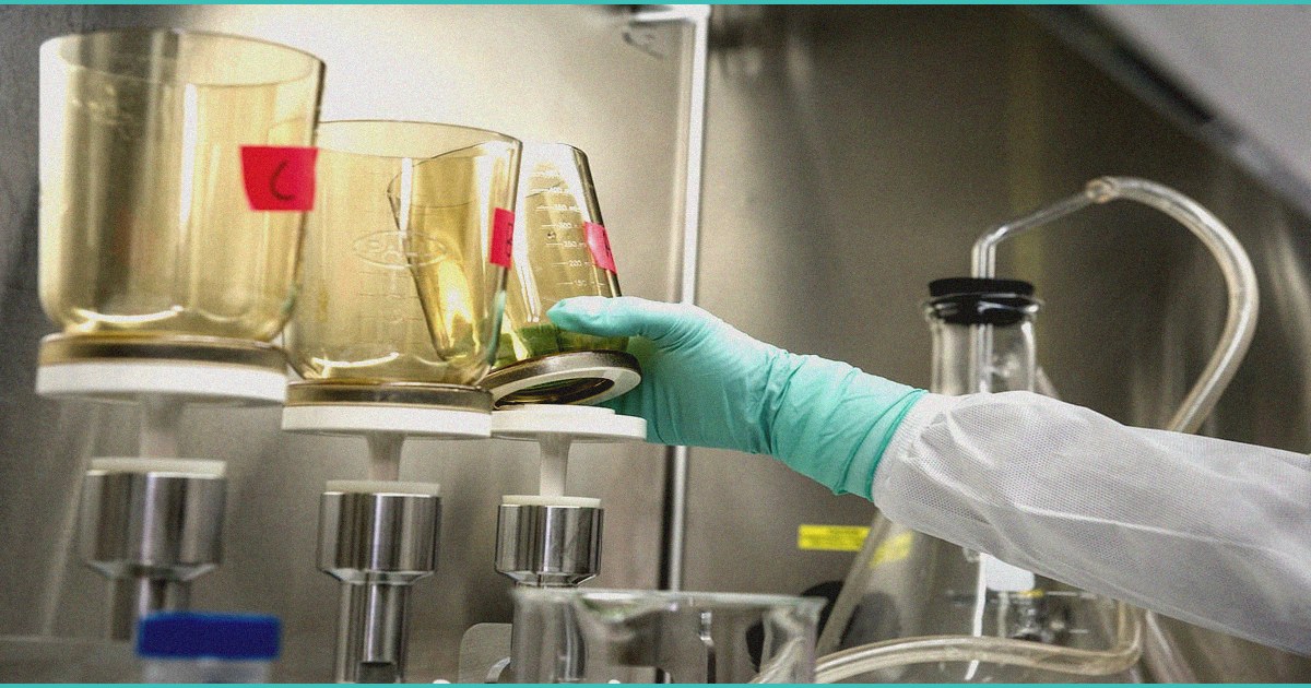 pain management older adult caregiver perception