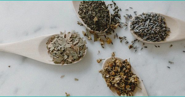 Patients Who Rely on Hemp-Derived CBD Face ‘Abrupt Disruptions in Care’