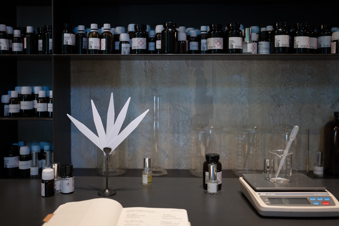 photo 1716034348692 ddc6498732f7 2d31b6a6