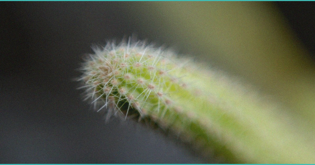 pipeline progress drives investor focus at