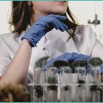 police and anti drug groups call for immediate hem