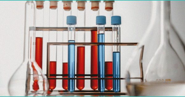 Quant snapshot on cannabis names as Trump plans reclassification