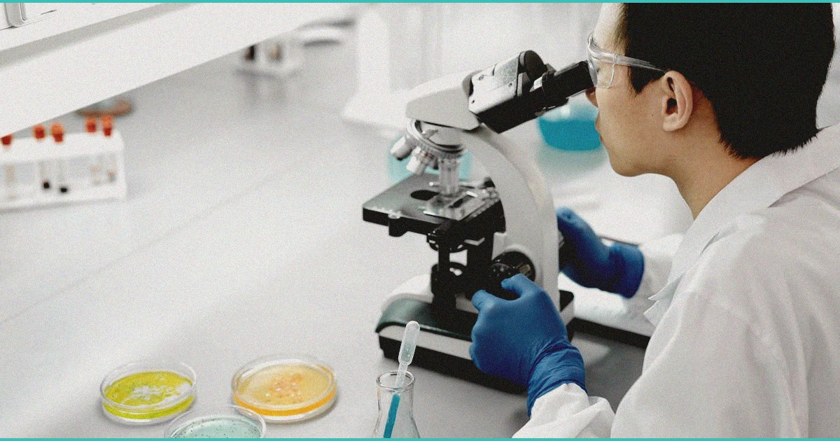 quot mother of b cannabinoids b quot the ris