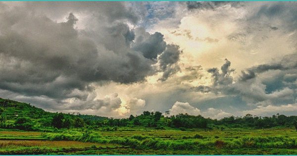 SC hemp ban back on table. Four options left for future of THC edibles – The State