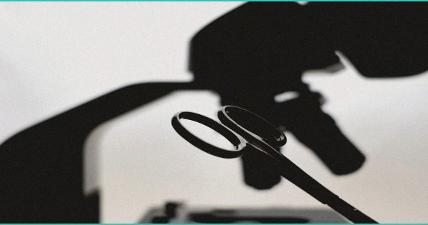 Study: Cannabis Beverages Help People Cut Alcohol Consumption Nearly in Half