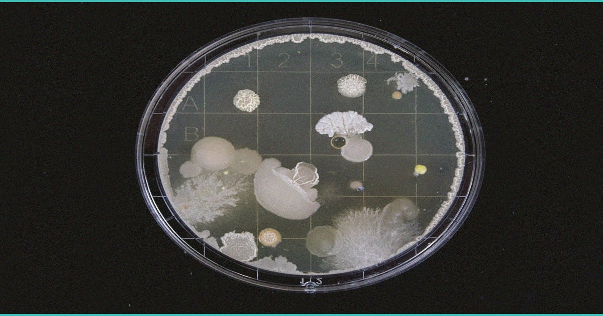teen b marijuana b use doubles chances of futur
