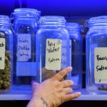 Texas hemp industry sues to block the state's new ban on smokeable THC