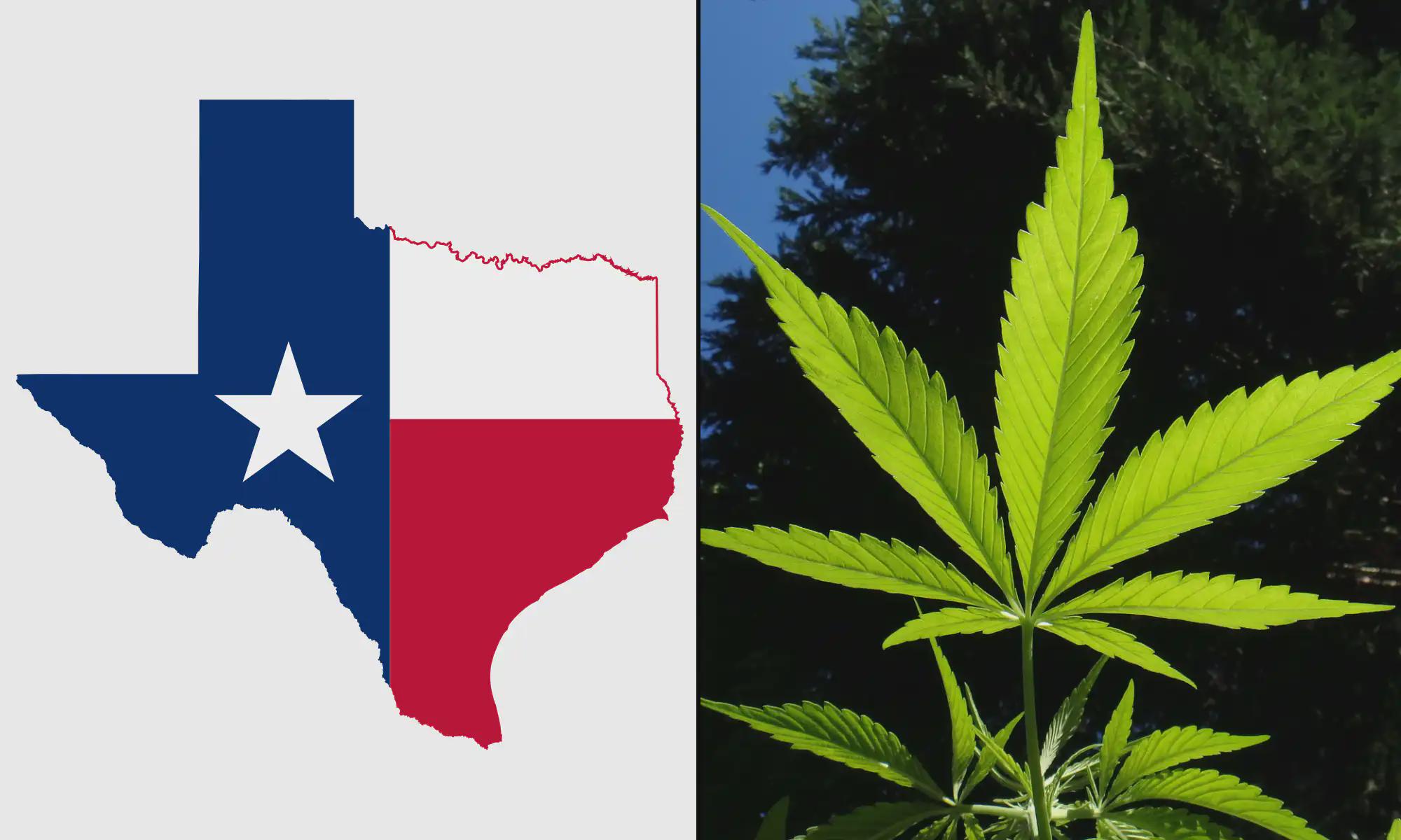Texas Judge Pauses New Rules Banning Hemp Products Like Smokable THCA Flower Amid Legal Challenge From Industry