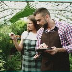 thca cbd and hemp laws why the confusion isn t