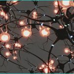 the association between cannabis use and brain rew