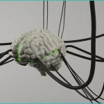 the brain science behind the munchies nautilus m