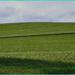 the hemp industry gears up to fight for its contin