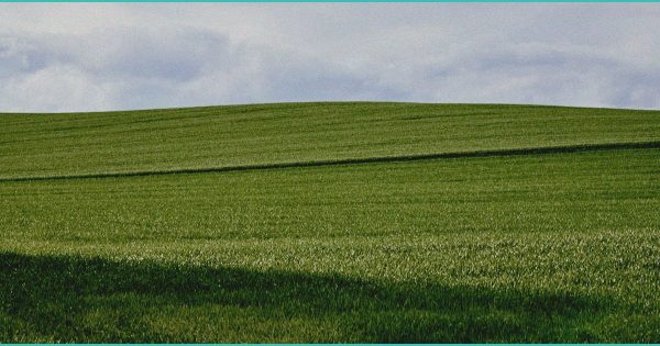 The Hemp Industry Gears Up to Fight for Its Continued Existence – Roundtable