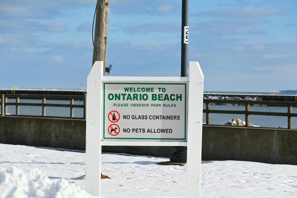 CED Clinic: Personalized Cannabis Medicine 207 Judge blocks new state rules that ban sale of smokable hemp – Houston Public Media