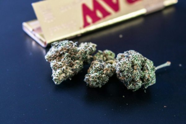 CED Clinic: Personalized Cannabis Medicine 216 Drug-soaked paper is killing inmates amid reports of prison smuggling trends – Local News