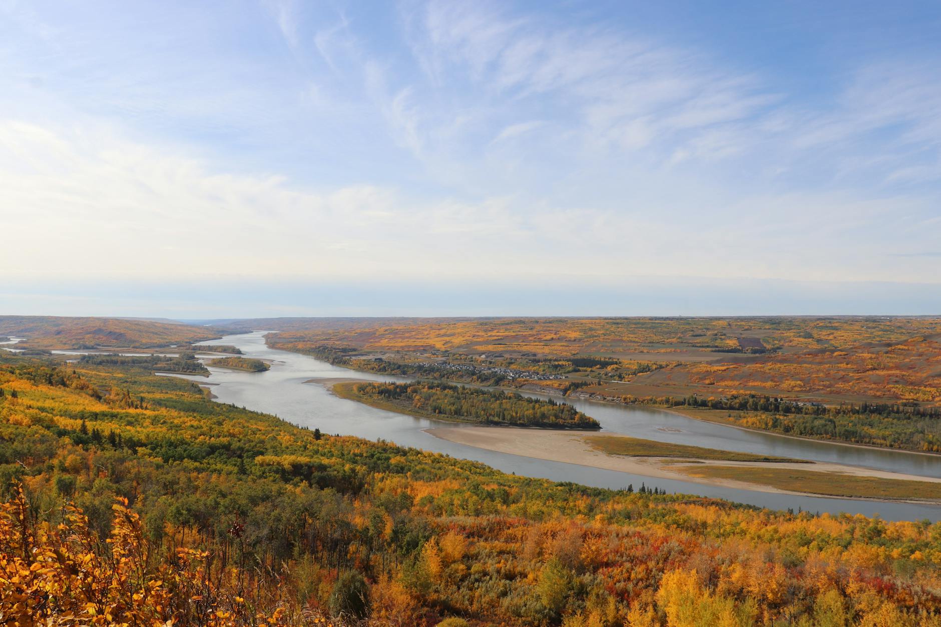 Editorial image for Rural municipalities call on Alberta government to open grizzly bear hunt