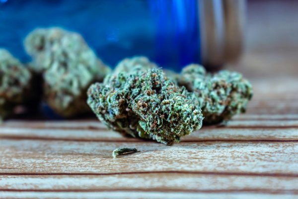 Cannabis may not be as anti-inflammatory as believed—research paints a more complex picture