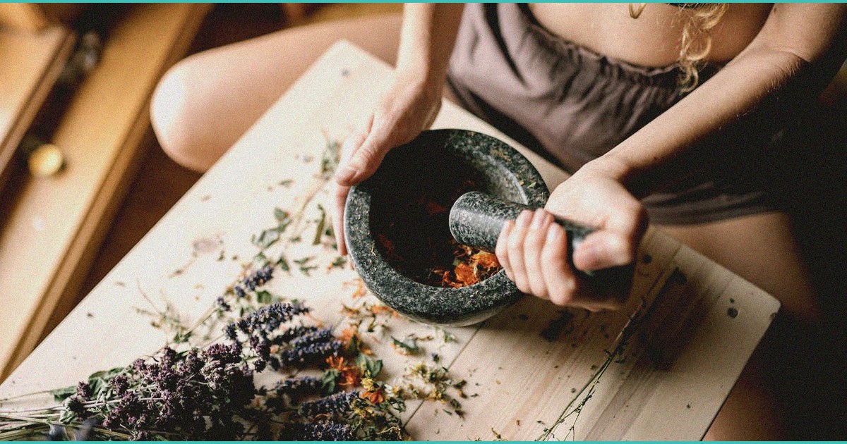 trump pushes cannabis rescheduling as hemp cms iss 1