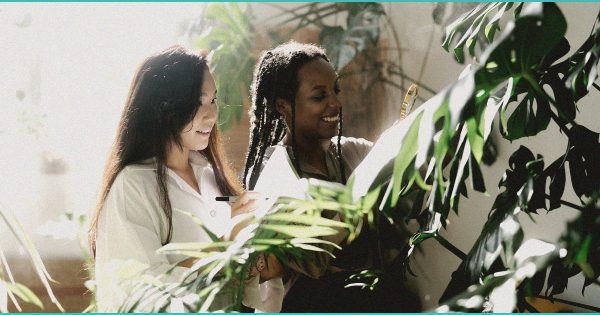 CED Clinic: Personalized Cannabis Medicine 205 Two compounds found in cannabis plant reverse liver disease damage, study suggests