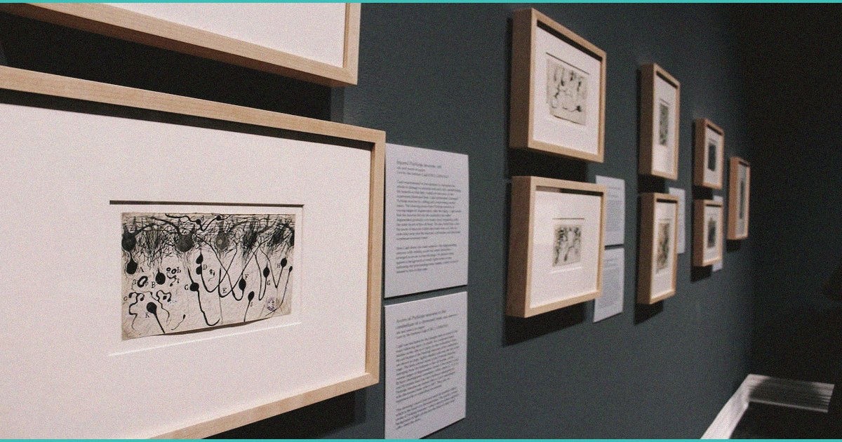 using b cannabis b to cut back on alcohol your