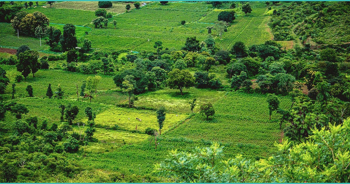 weathered after the la firestorm panel and screen