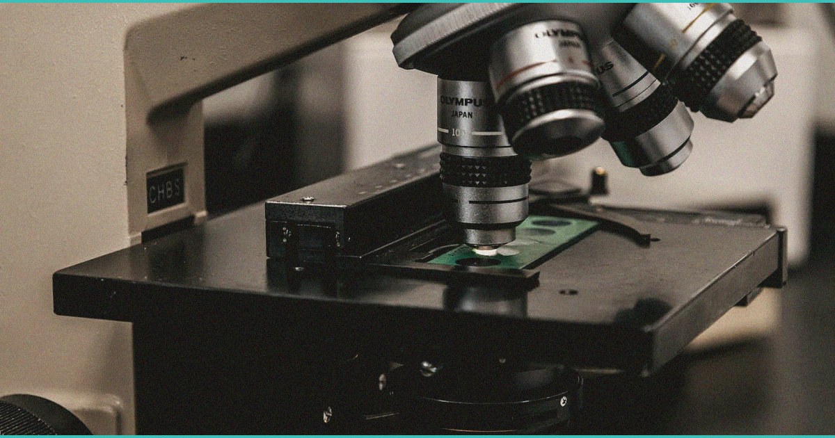 what s really happening with b cannabis b etf m