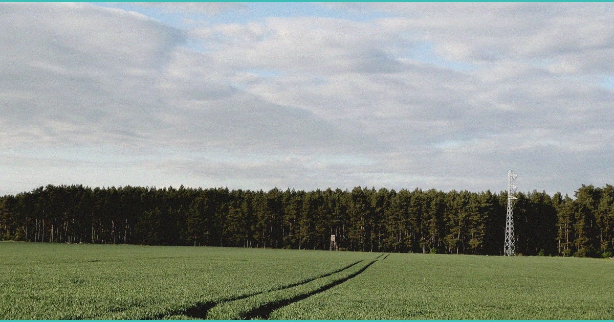 when it comes to marijuana and hemp if you believ